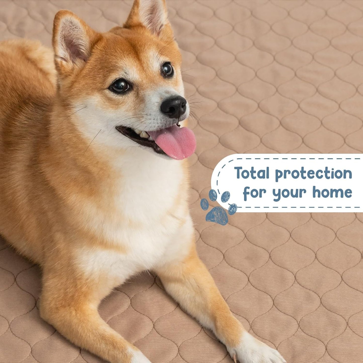 Reusable Dog Pee Pads - Dogs Waterproof Training Pads - Washable & Sanitary - Rounded Corners - Laminated, Lightweight, Durable - Pet Essentials Puppy Training, Whelping - 60" X 60"